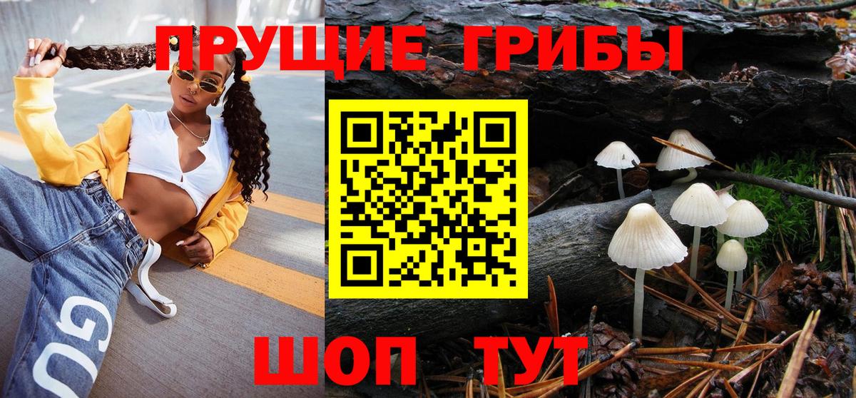 Псилоцибиновые грибы GOLDEN TEACHER  Вход с VPN  Алатырь 
